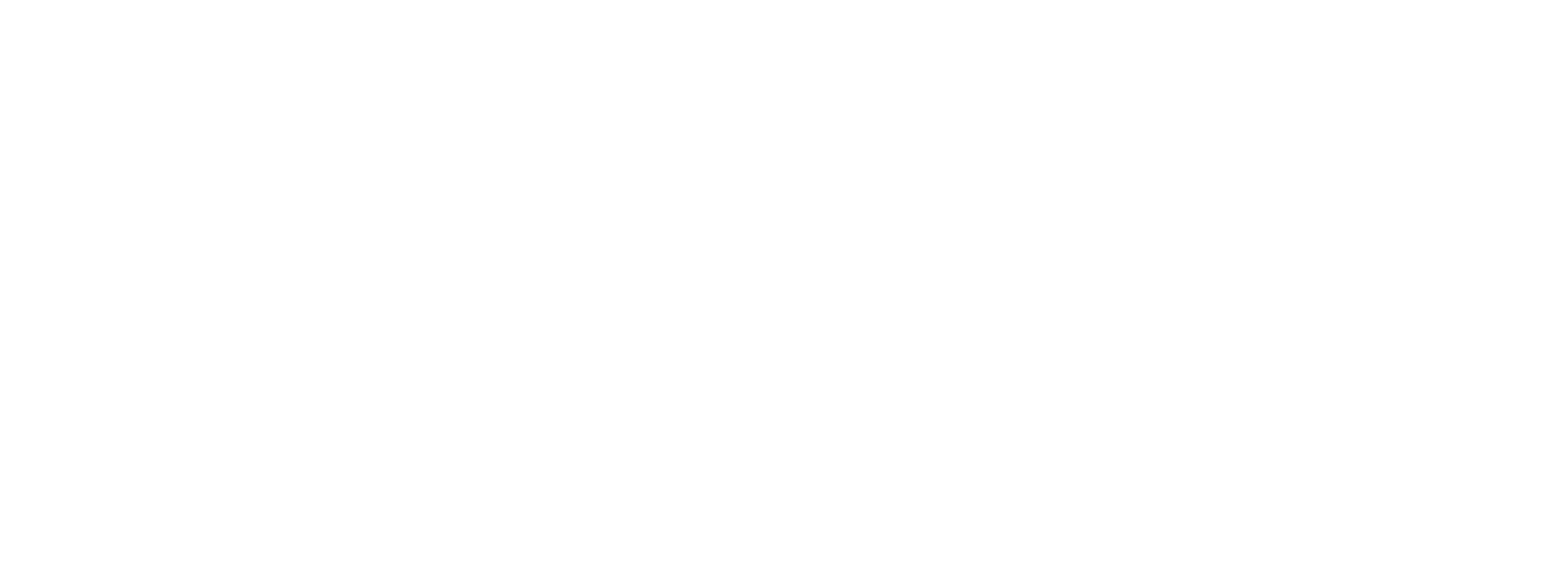 satu-plus logo
